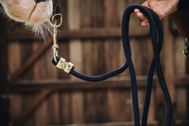 Kentucky Lead Rope Basic - 2m