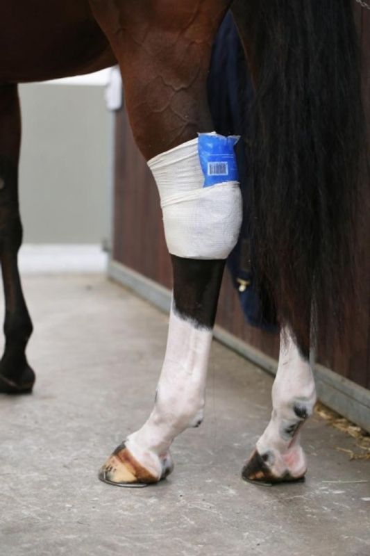 Kentucky Tendon Grip 5m