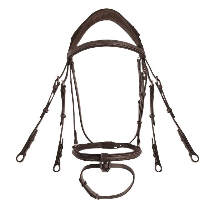 CWD Anatomisk Kandarhodelag