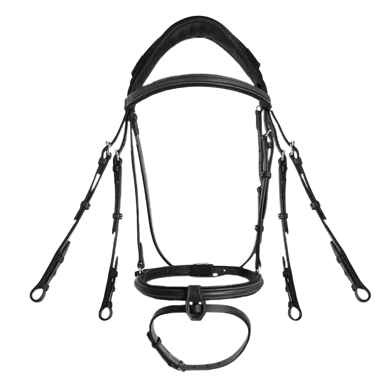 CWD Anatomisk Kandarhodelag
