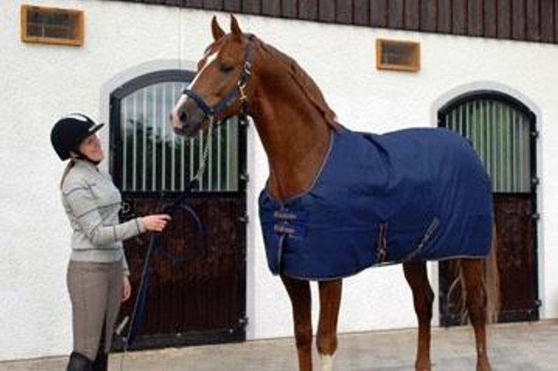 Bucas Irish Stable Light