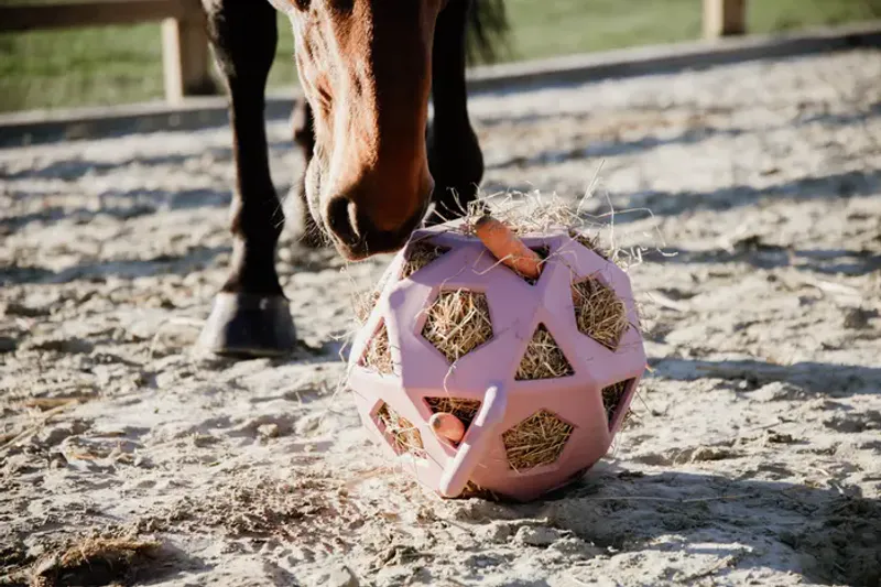  Kentucky Relax Horse Play & Hay Ball
