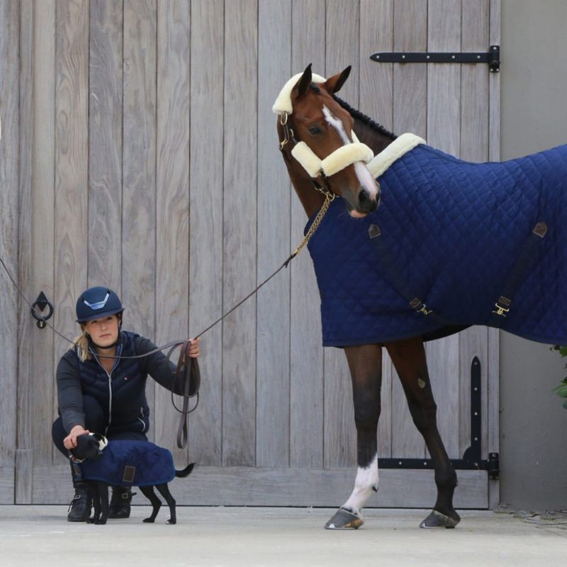Kentucky Dog Coat