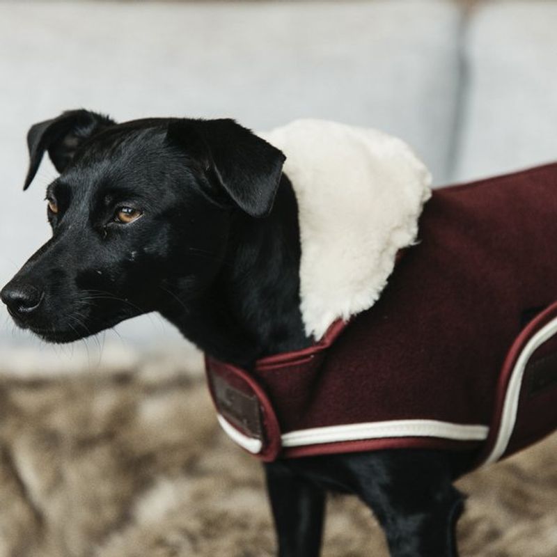 Kentucky Dog Coat Heavy Fleece