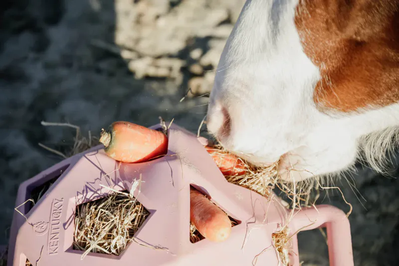  Kentucky Relax Horse Play & Hay Ball