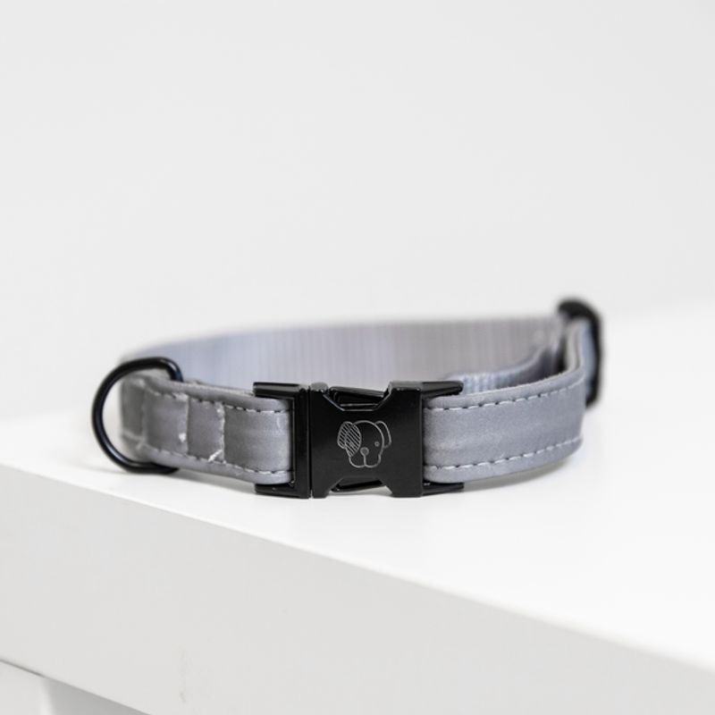 Kentucky Dog Collar Reflective