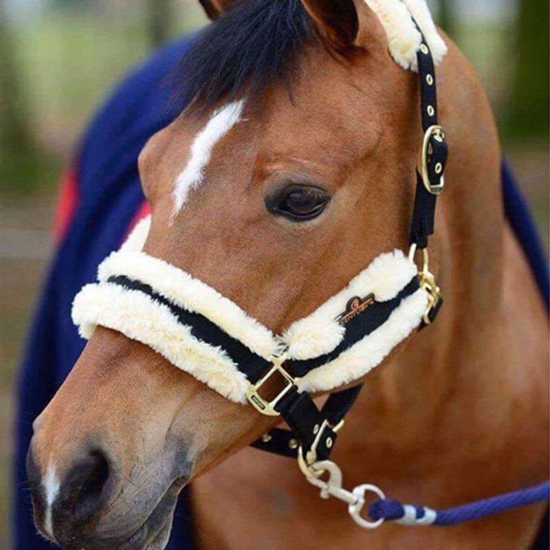 Kentucky Nylon Sheepskin Halter