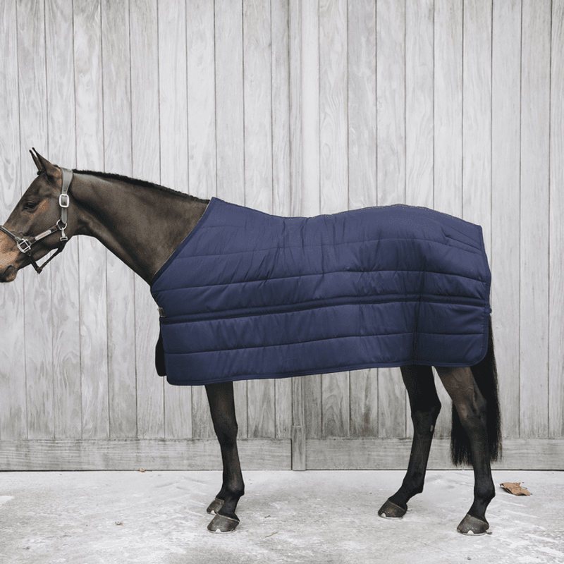 Kentucky Under Rug Skin Friendly 150gr