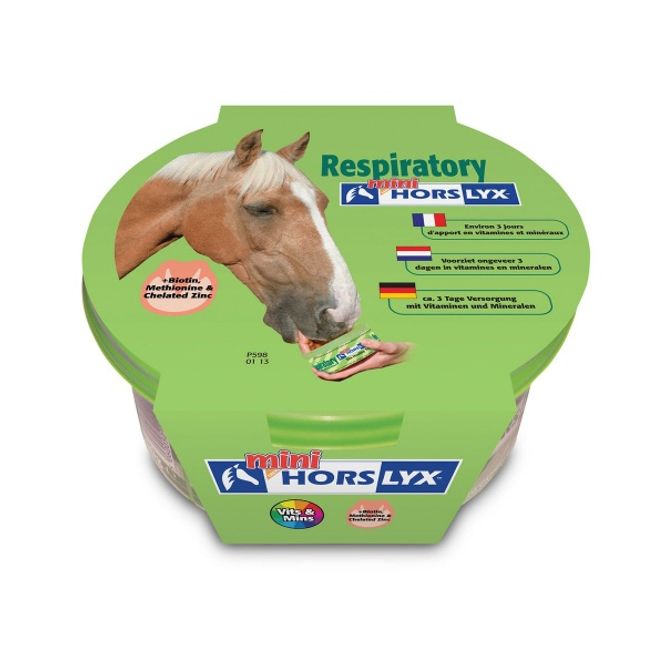 Hovedbilde Horslyx Mini, 650g