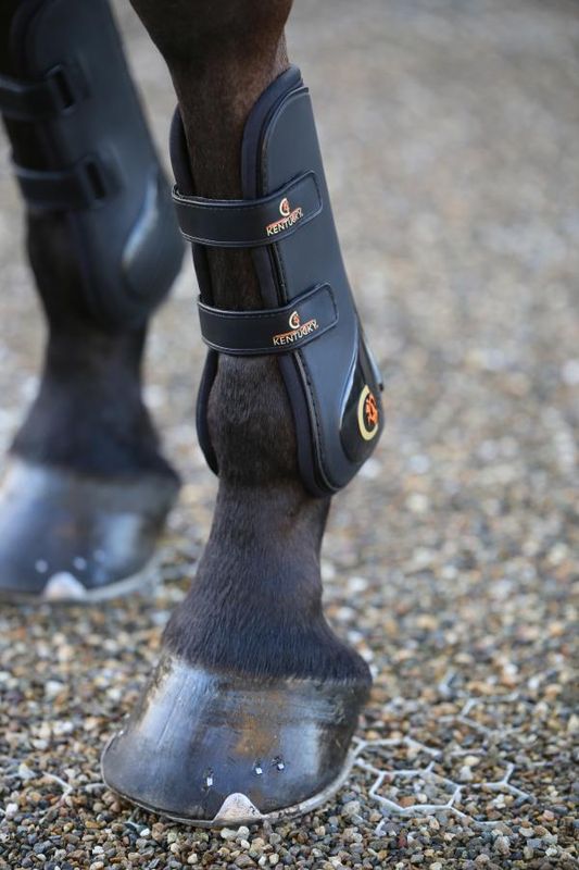 Kentucky Tendon Boots Velcro