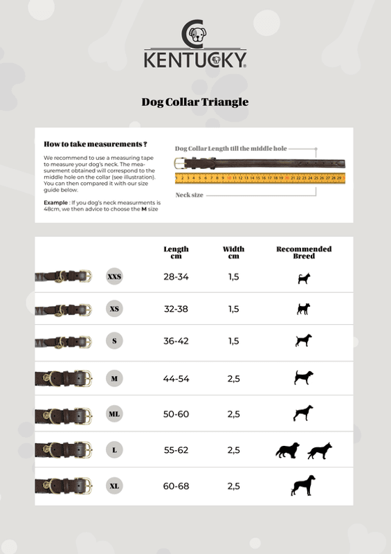 Kentucky Dog Collar Triangle