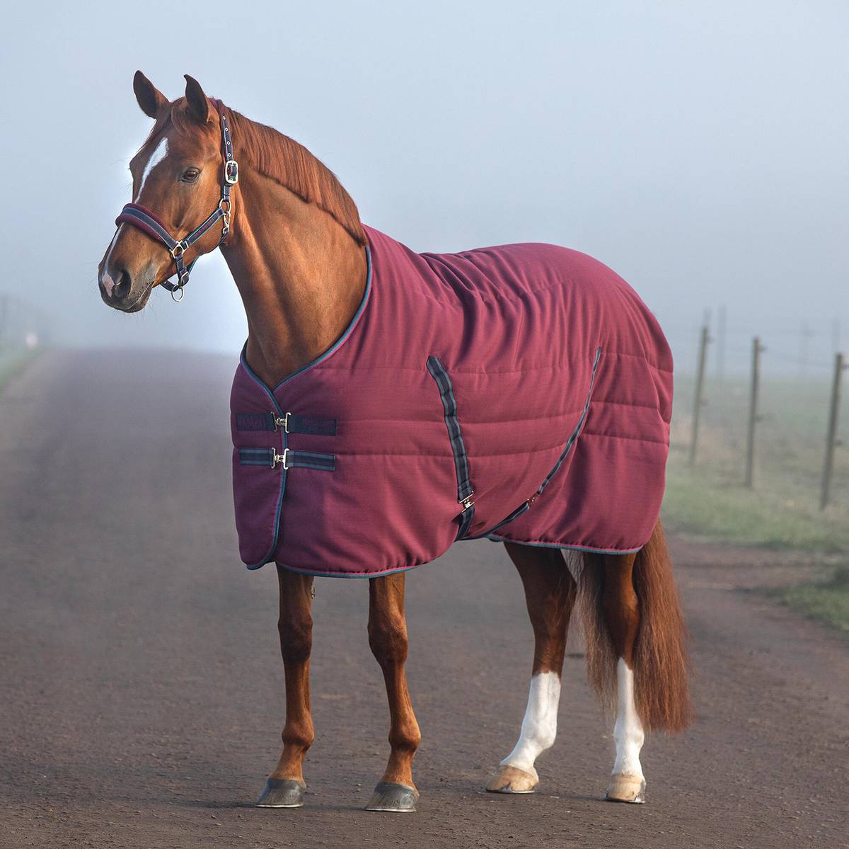 Horseware Rambo Stable Rug, 100g