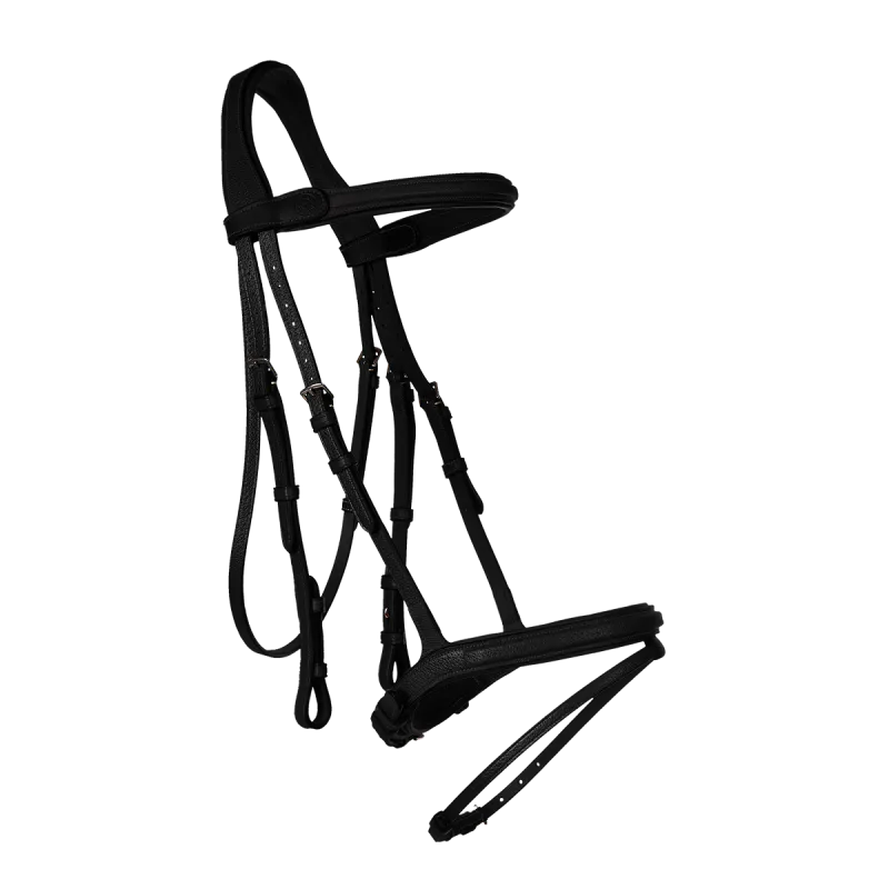 Butet Combined noseband sports bridle