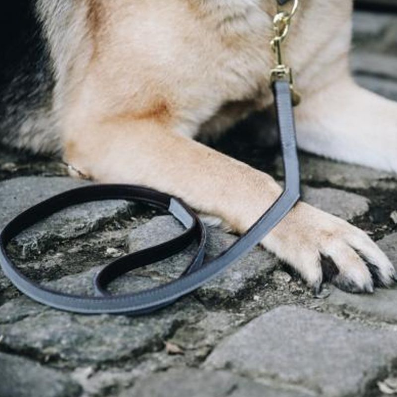 Kentucky Dog Lead Loop Grey