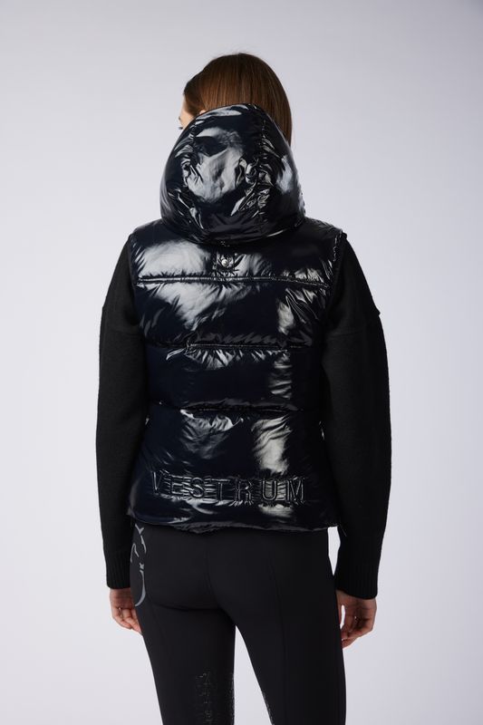 Vestrum Digione vest