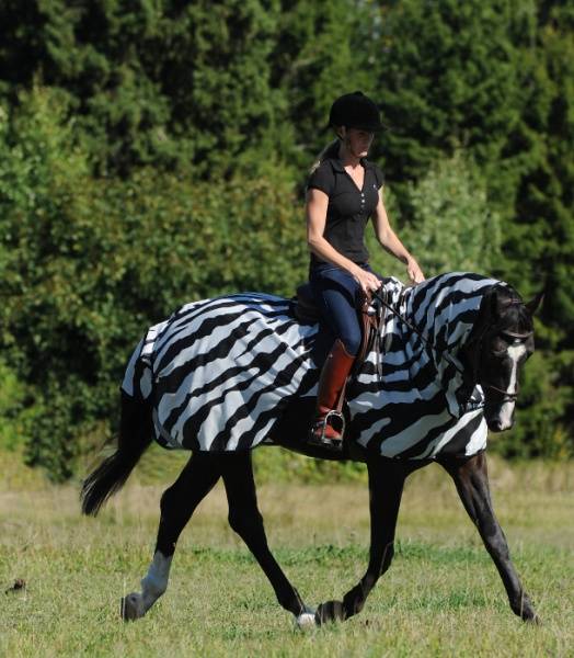 Bilde av BUCAS Buzz-Off Riding - Zebra