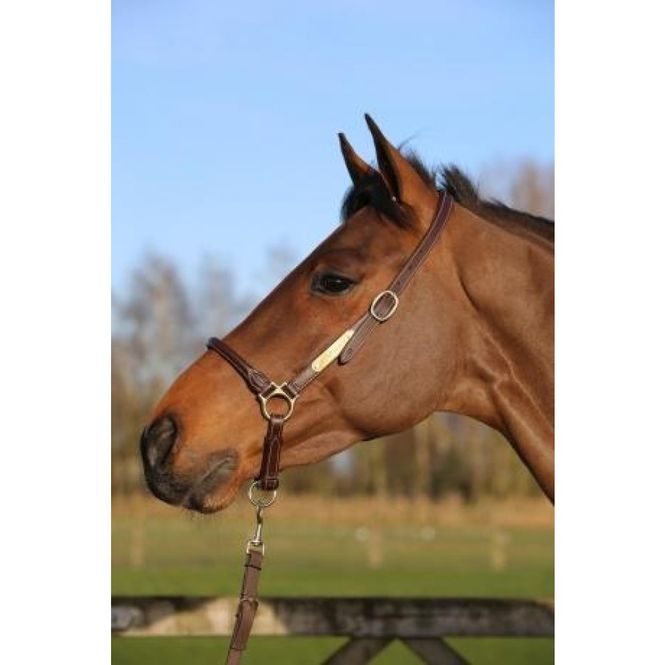 Hovedbilde Kentucky Leather Grooming ...