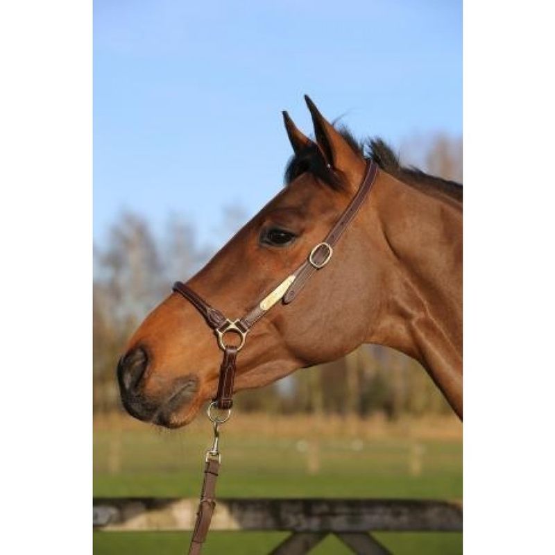 Kentucky Leather Grooming Halter