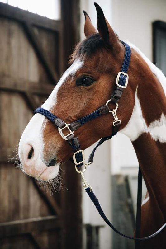 Kentucky Nylon Plaited Halter