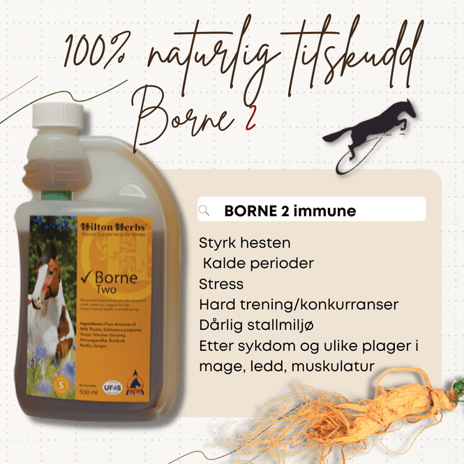 Hovedbilde Borne 2 Hilton Herbs