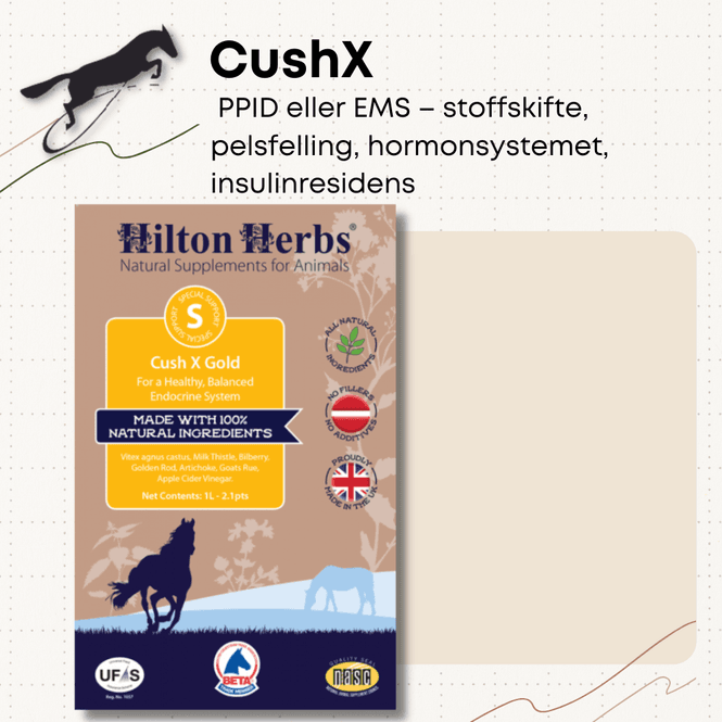 Hovedbilde CushX Hilton Herbs