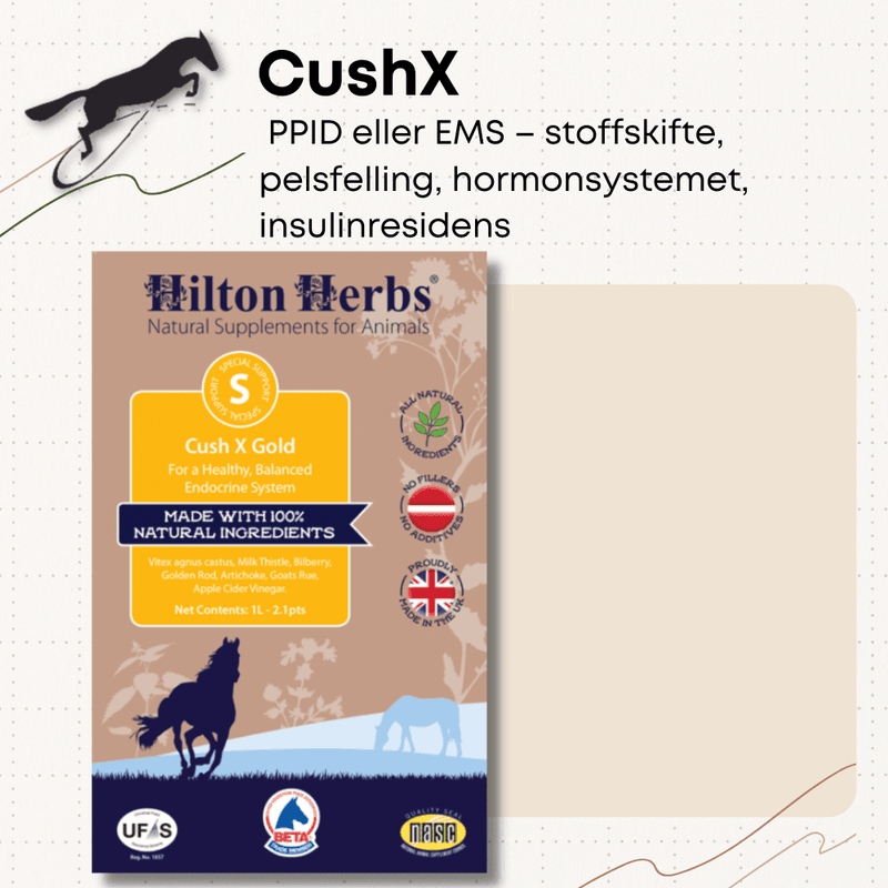 CushX Hilton Herbs