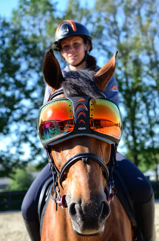  eQuick eVysor Darker Lenses - solbriller