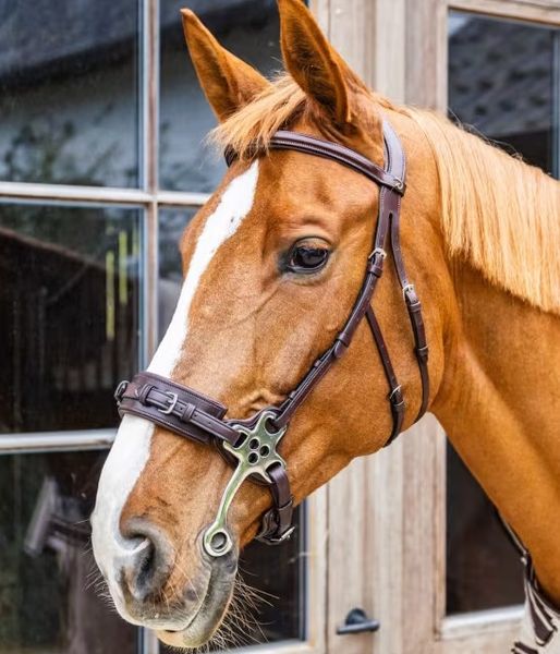Hovedbilde Hackamore bridle NE 