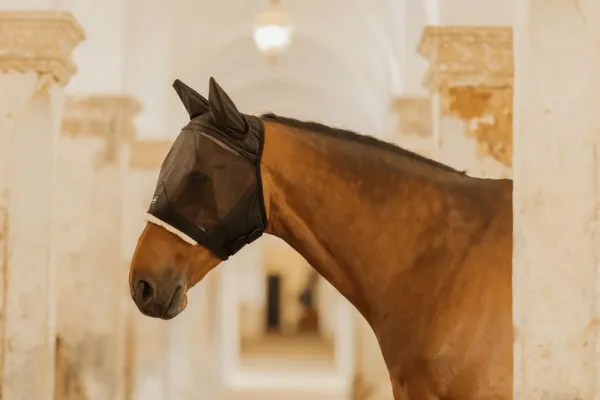 Hovedbilde Kentucky Fly Mask Skin ...