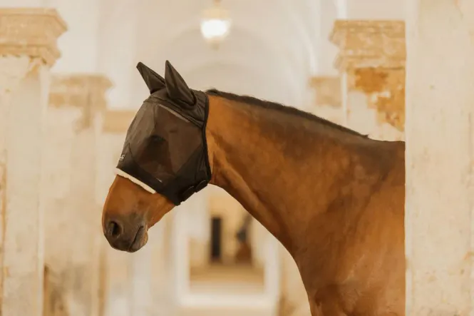 Hovedbilde Kentucky Fly Mask Skin ...