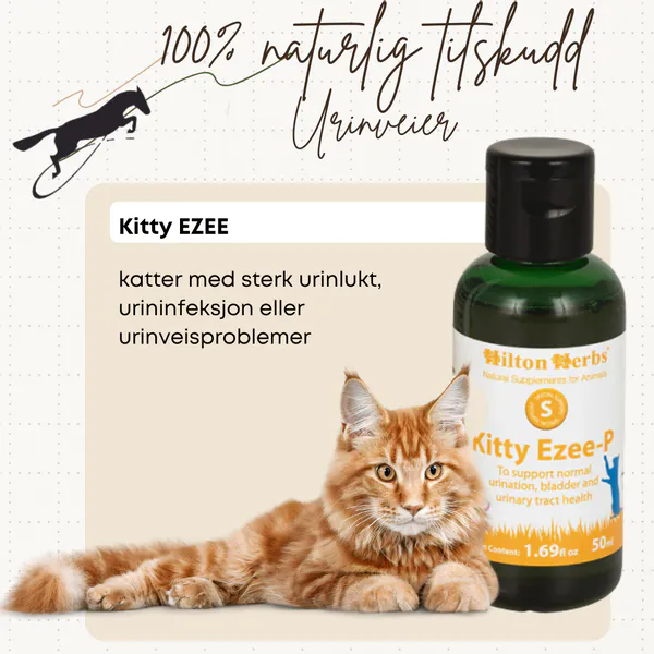 Hovedbilde Kitty Ezee-P Hilton Herbs