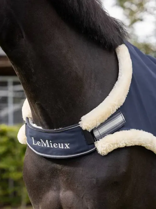 LEMIEUX Walker Rug Navy