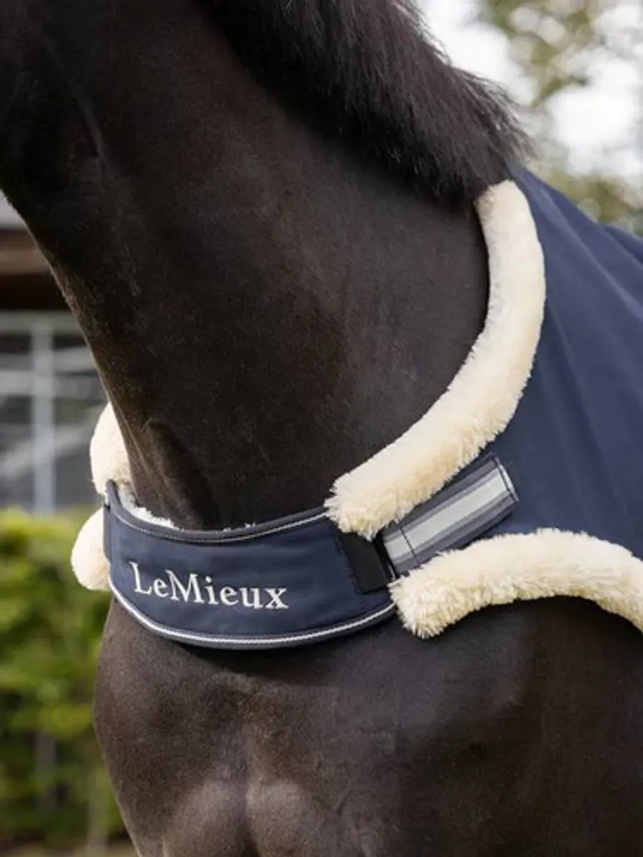 LEMIEUX Walker Rug Navy