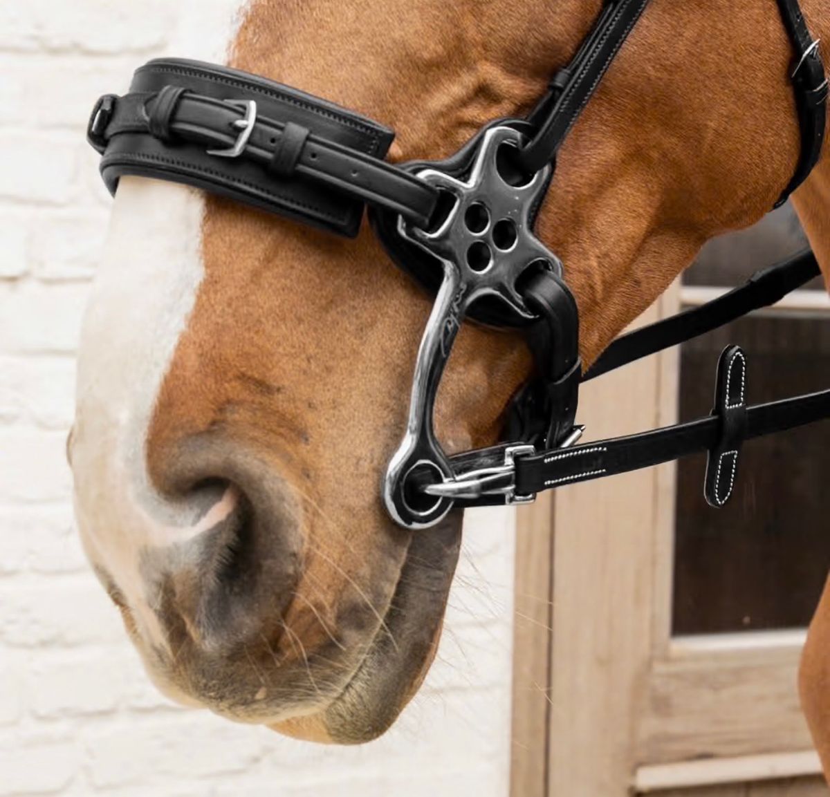 5/8 Rubber Reins with Leather Loops and Snap