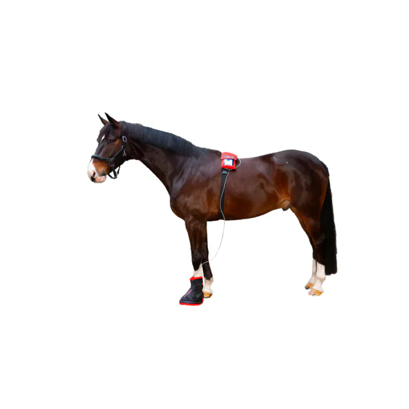 Magnetic Hoofboot -Single SET
