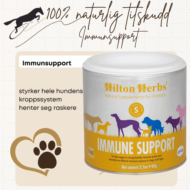 Hovedbilde Immunesupport Hilton Herbs