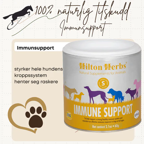 Hovedbilde Immunesupport Hilton Herbs
