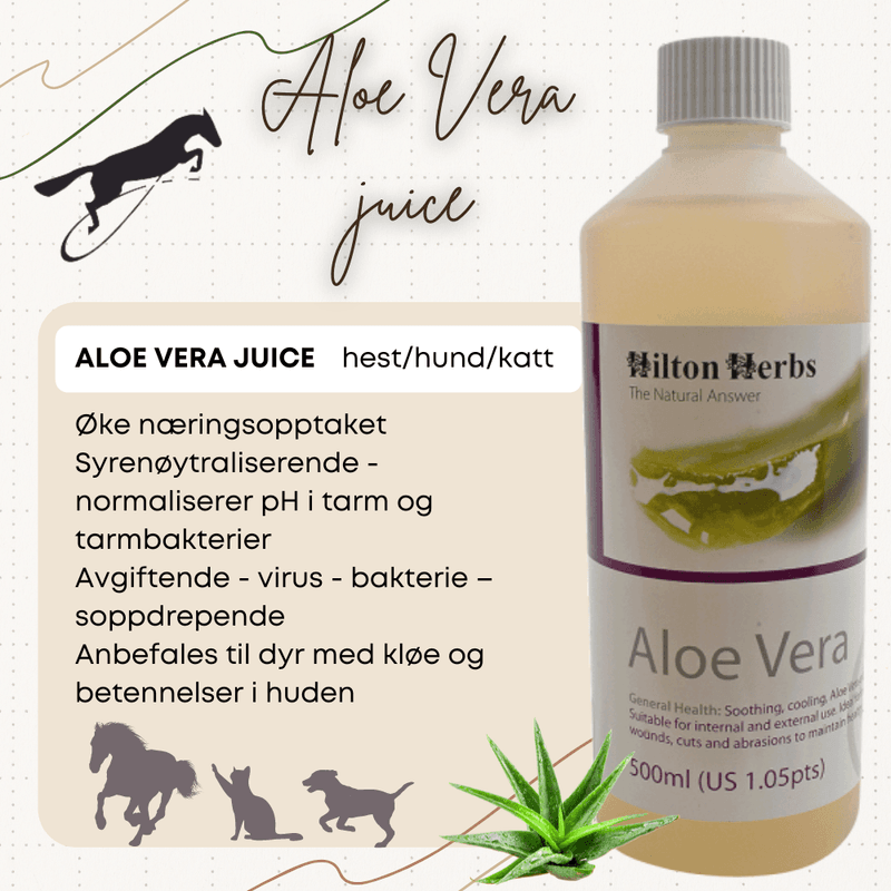 Aloe Vera Juice Hilton Herbs - 1000 ml
