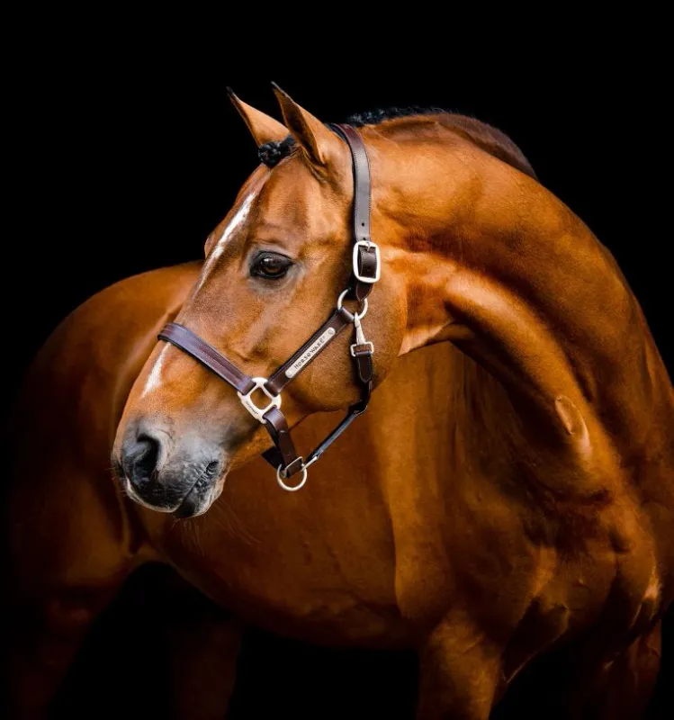 Horseware® Signature Leather Headcollar
