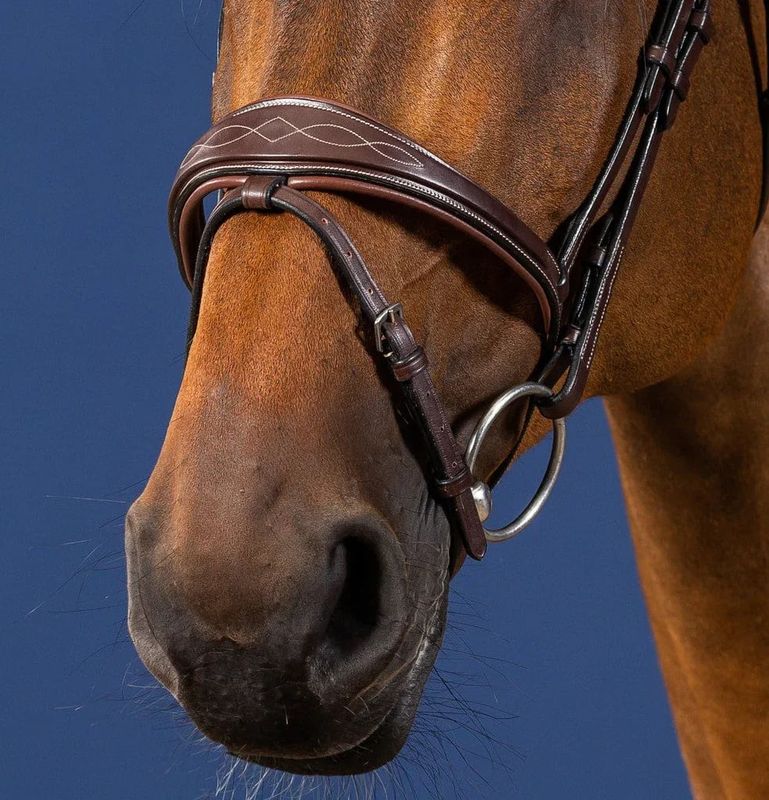 Anatomic Flash Noseband Bridle US Collection