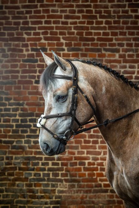 Hovedbilde Dyon Noseband Bridle D ...