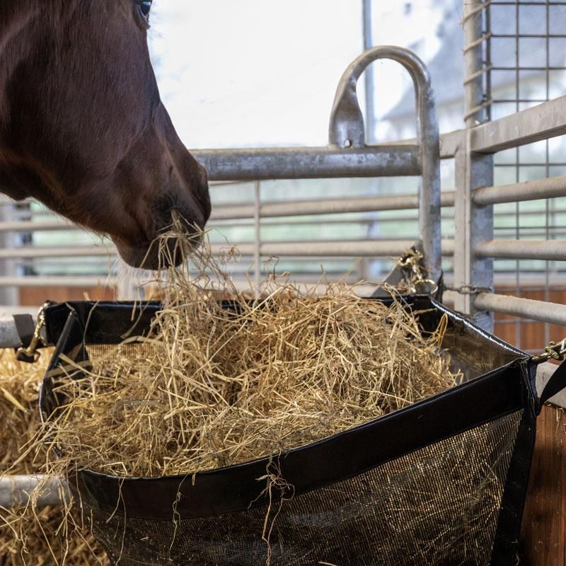 Kentucky Hay Bag Corner 