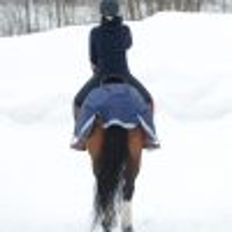 Bucas Ride dekken