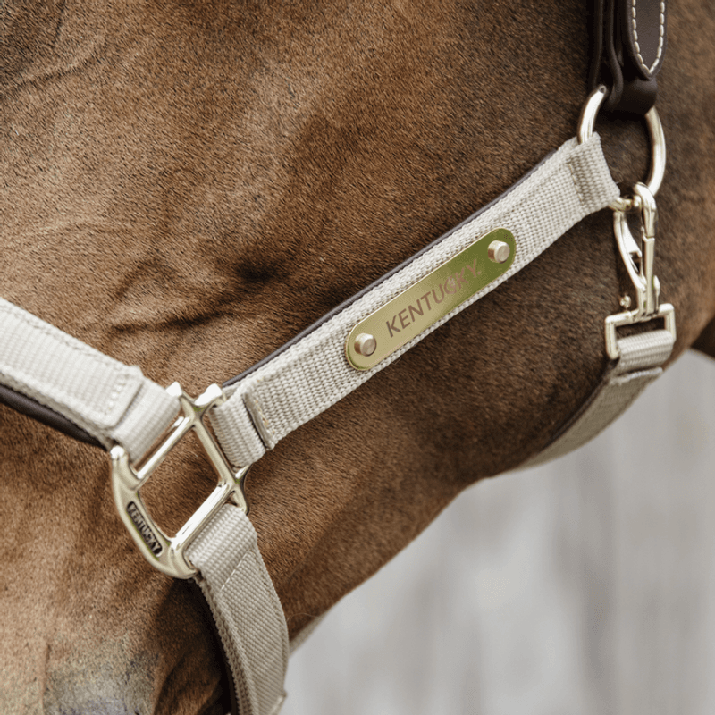 Kentucky Nylon Anatomic Halter