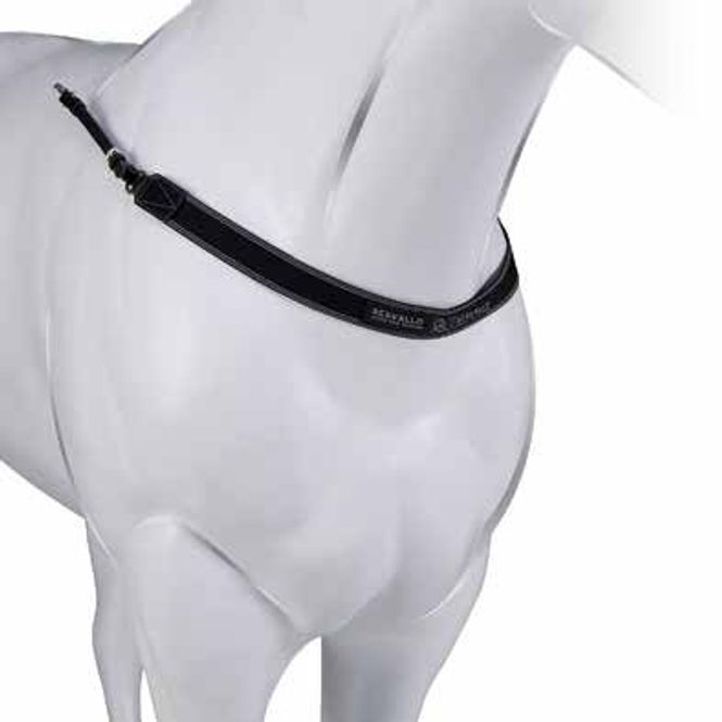 Hovedbilde Acavallo Single Elastic ...