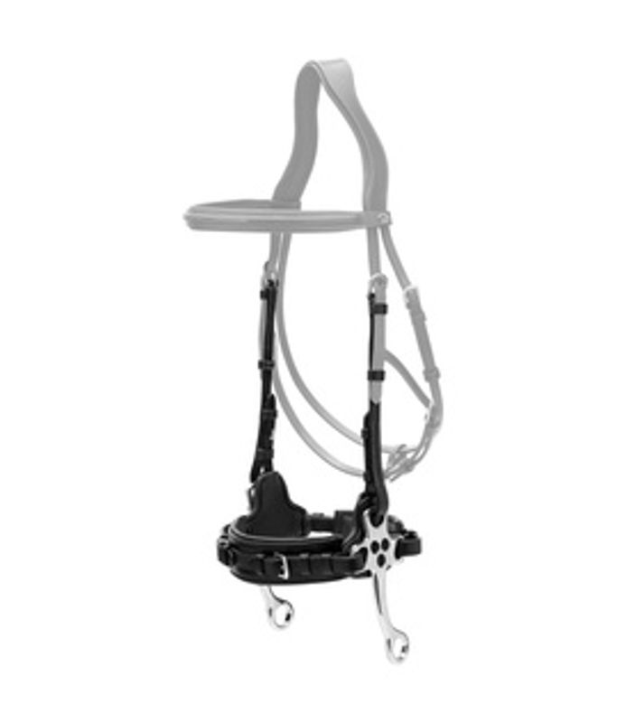 Dyon Hackamore