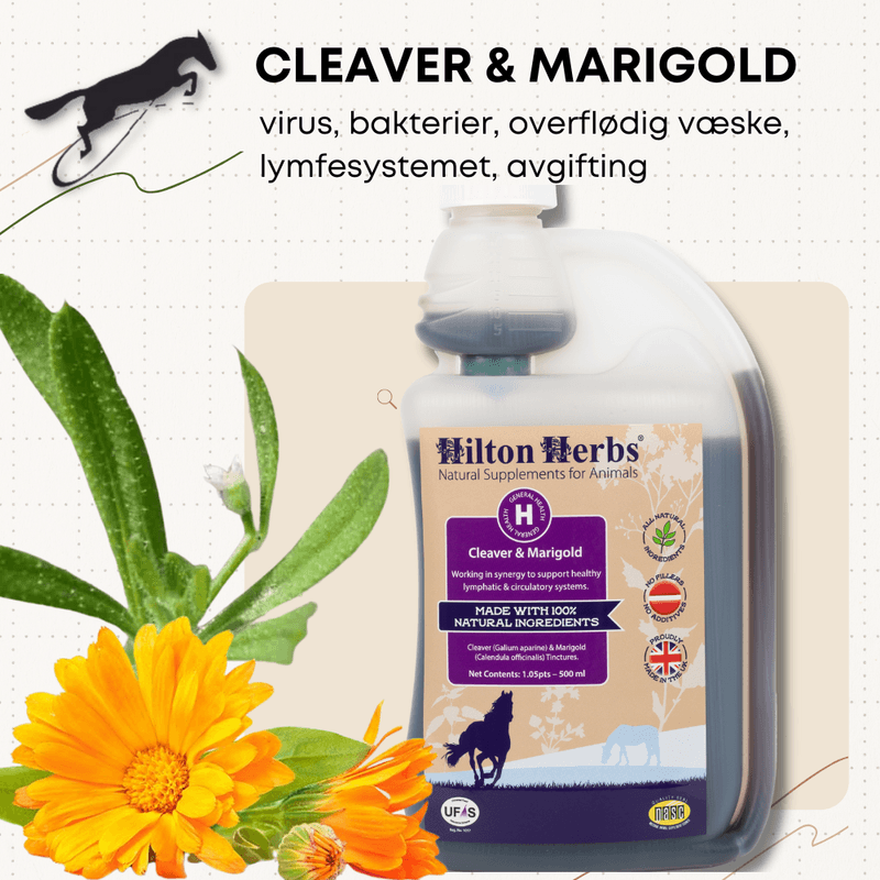 Cleaver & Marigold Hilton Herbs