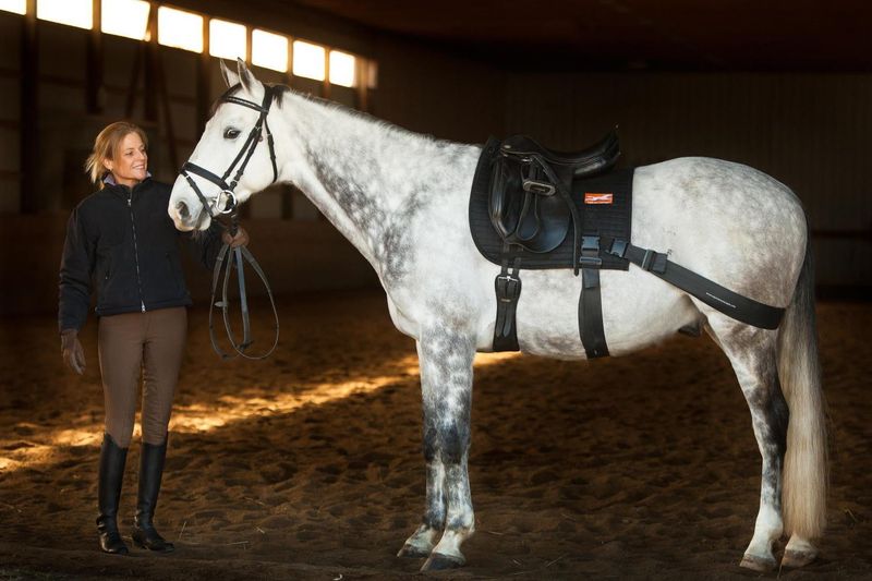 Equiband® Pro System – Komplett pakke