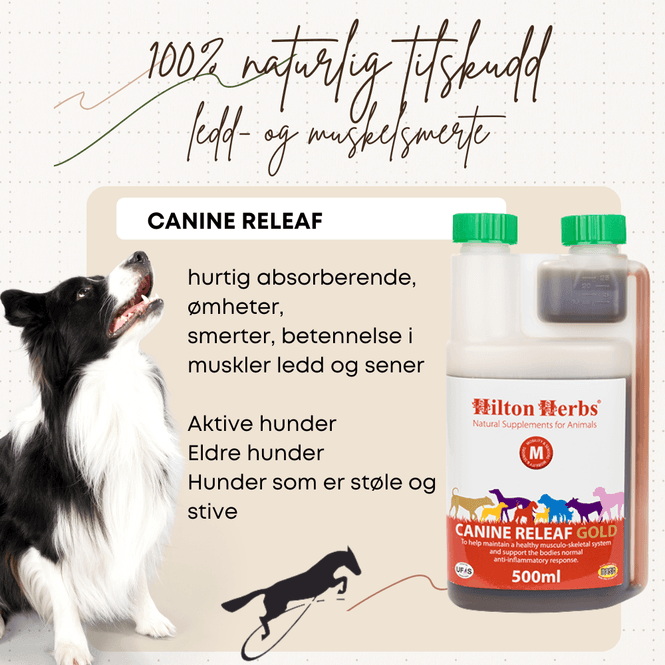 Hovedbilde Canine Releaf Hilton Herbs