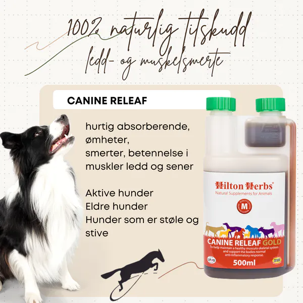 Bilde av Canine Releaf Hilton Herbs